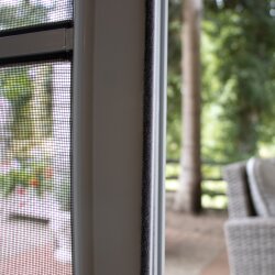 Selbstklebende Bürstendichtung Fußbreite 6,7 mm Höhe 3-25mm, Farbe: Grau